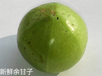 余甘子細節(jié)比對4